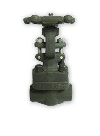 Forge Steel Valve 2