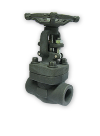 Forge Steel Valve 3