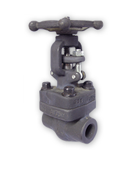 Forge Steel Valve 1