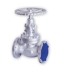 Globe Valve 2